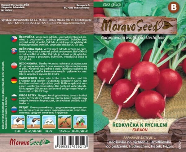 Ředkvička červená kulatá k rychlení FARAON semena