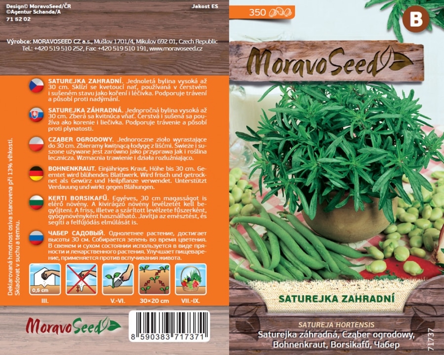 Saturejka zahradní - Satureja hortensis semena