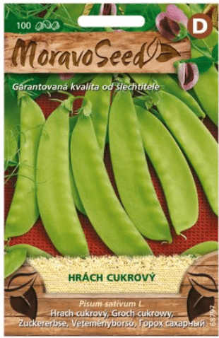 Hrách cukrový Pisum sativum semena