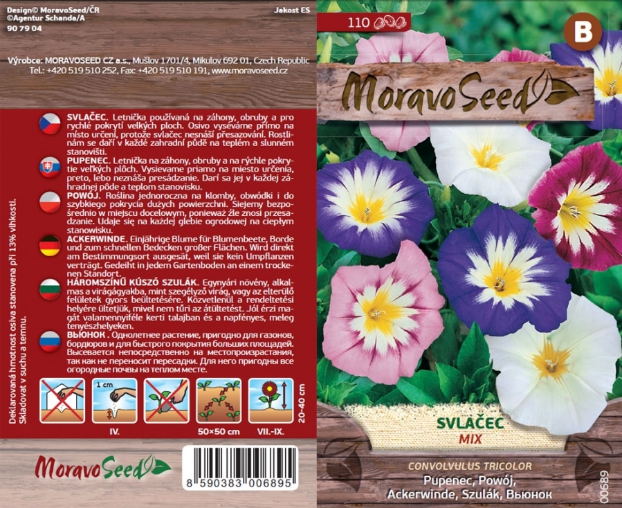 Convolvulus tricolor/Svlačec/nízký směs semena