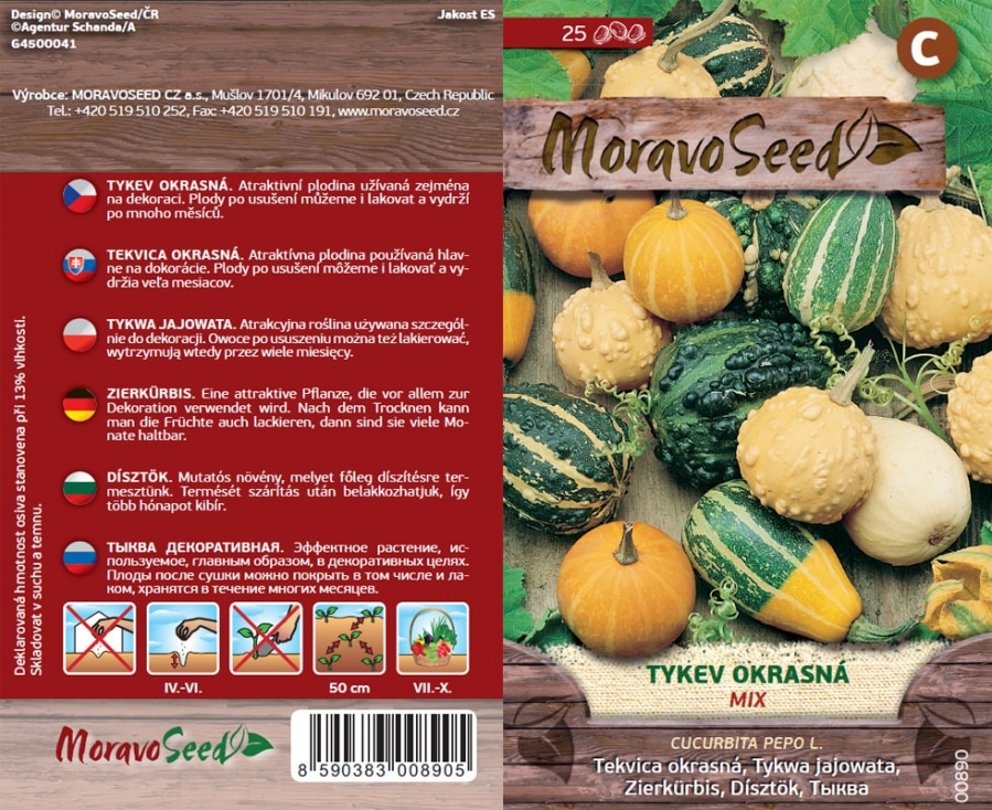 tykev okrasná semena , žl-z Pear Bicolor