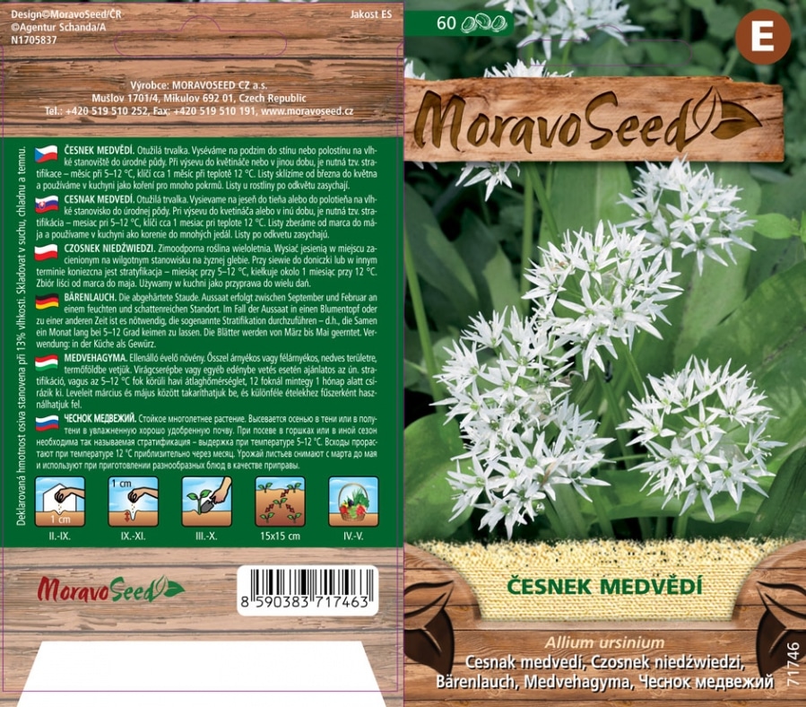 Česnek medvědí - Allium ursinum semena