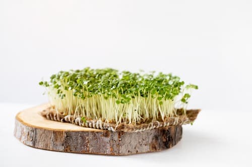 microgreens