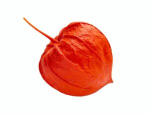 Mochyně
