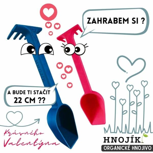Dva páry květin Valentýn v červené a bílé barvě