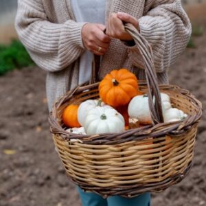 košík plný tykví