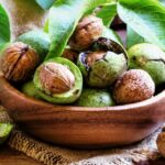 Oresak kralovsky 2 1