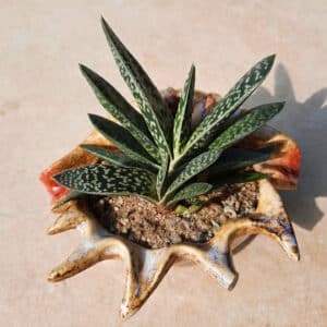 gasterie 20210722 090813