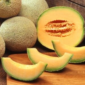 Meloun cukrový (Cucumis melo) - Cucumis melo var. cantaloupensis