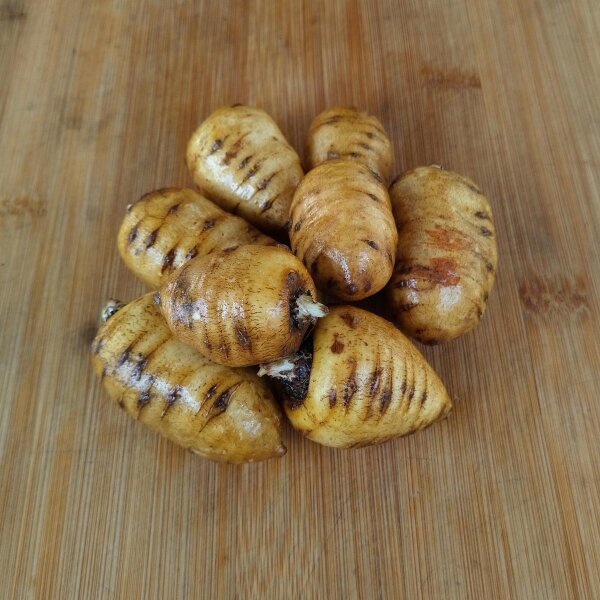 Krabilice hlíznatá (Chaerophyllum bulbosum)​ - plody