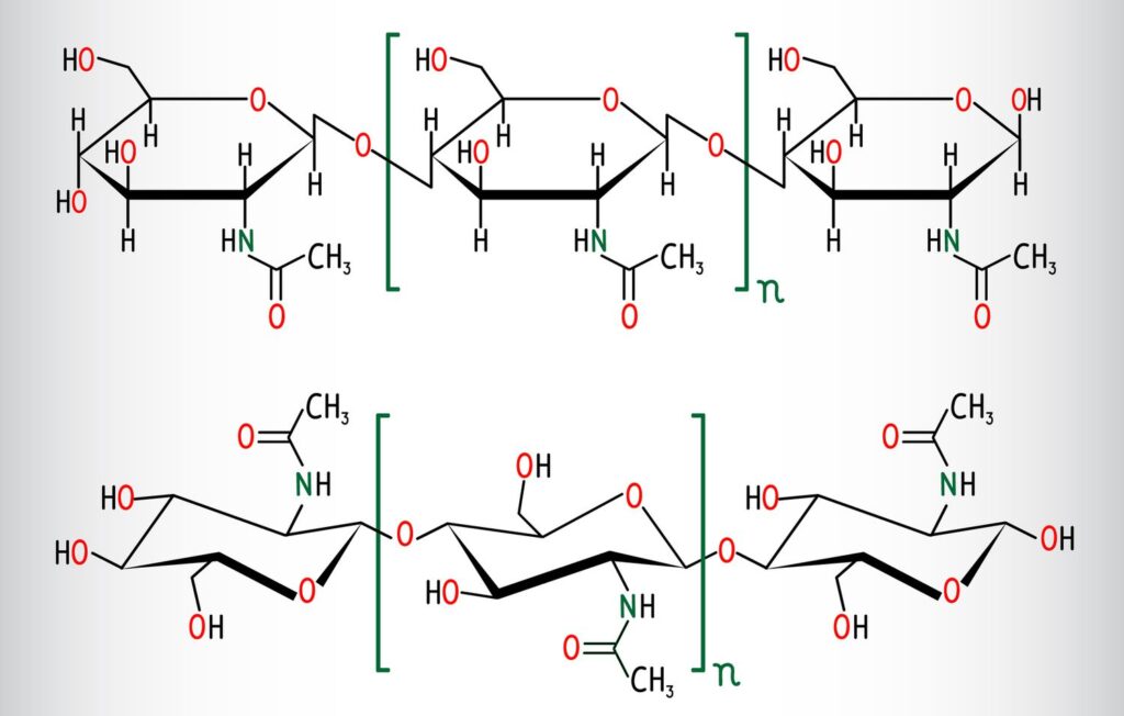Chitin 2 Chitin vzorec