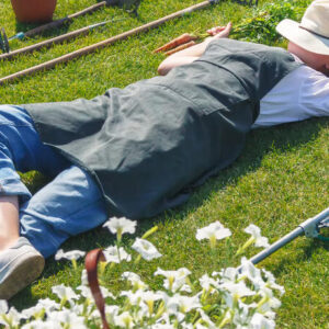 Srpnové práce na zahradě