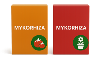 home 2025 78 imagemyko 1