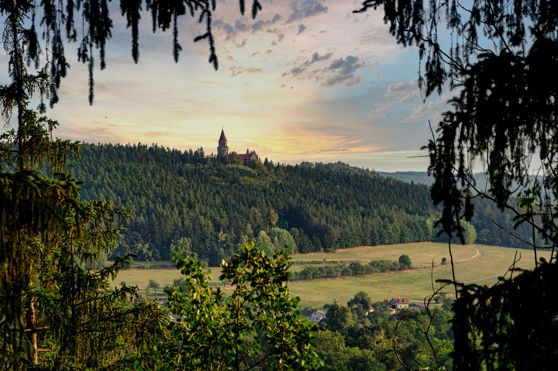 Počátky institucionální ochrany dřevin v českých zemích