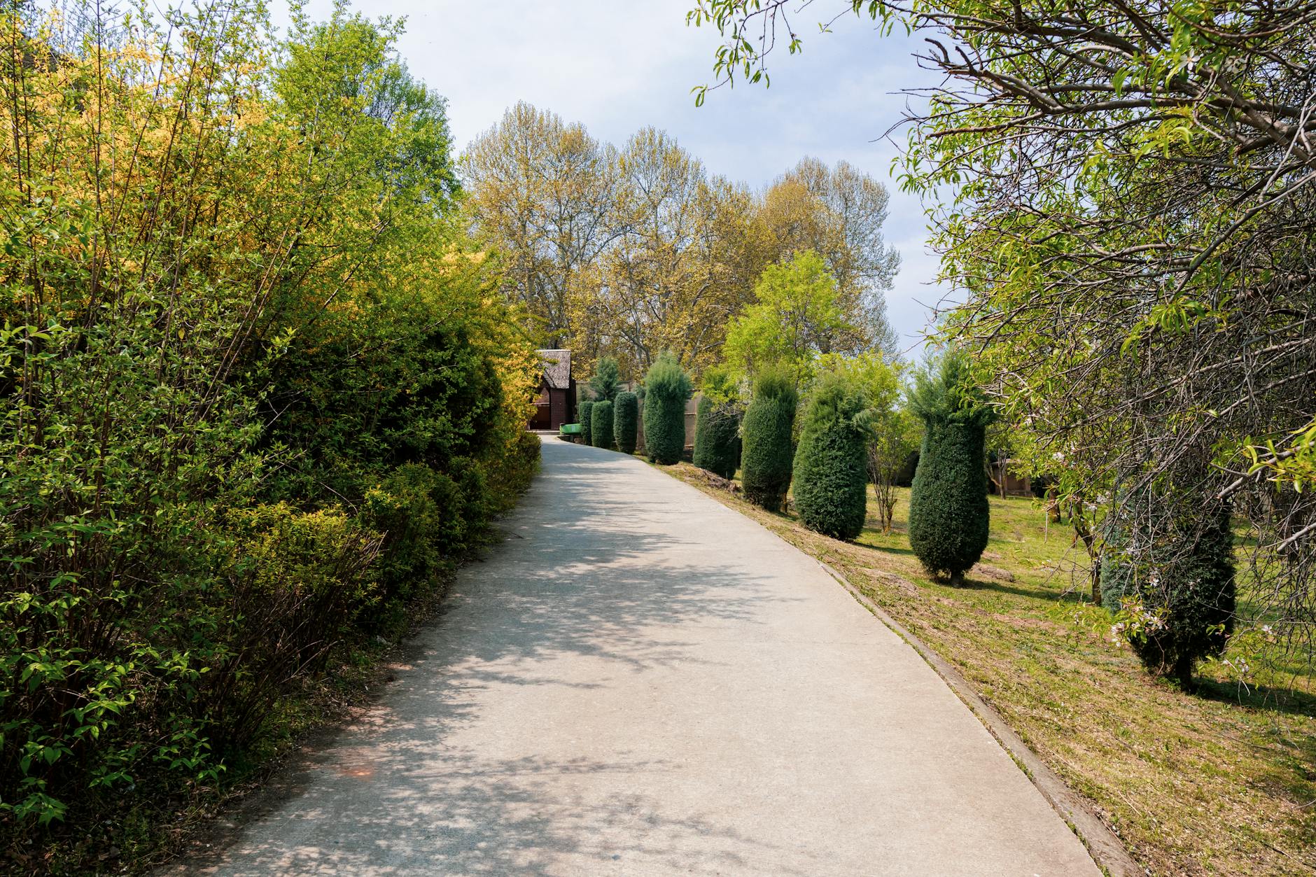Péče o stromy a dřeviny: od ochrany po arboristiku 3 Arboristika jako obor určený zahradníkům, odborníkům i státním úřadům