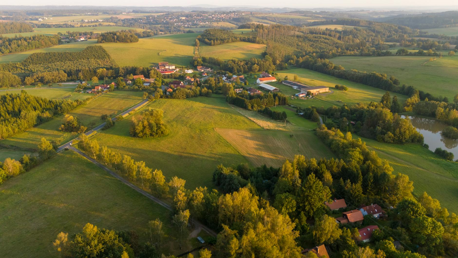 Rozvoj odborné arboristiky a péče o dřeviny ve druhé polovině 20. století