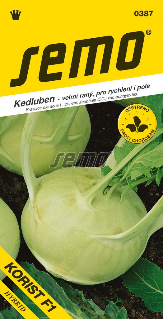Kedluben Korist F1