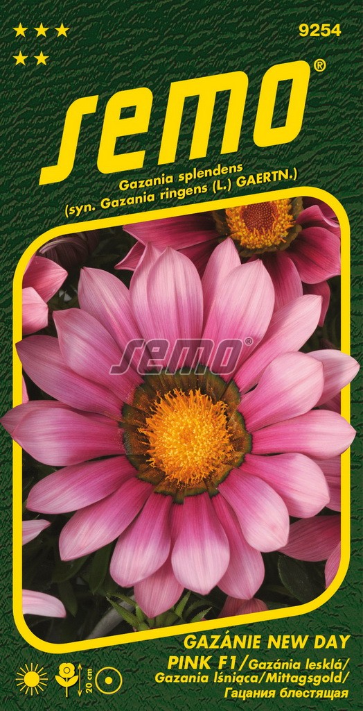 Gazánie zářivá NEW DAY PINK F1