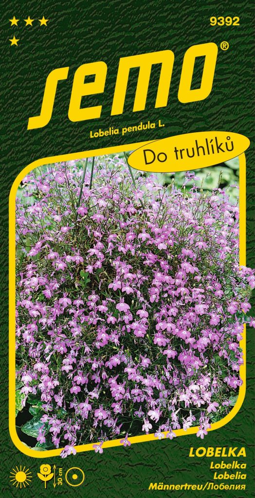 Lobelka LILA - převislá