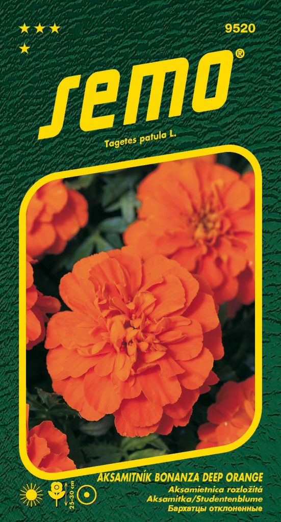 Aksamitník rozkladitý BONANZA DEEP ORANGE