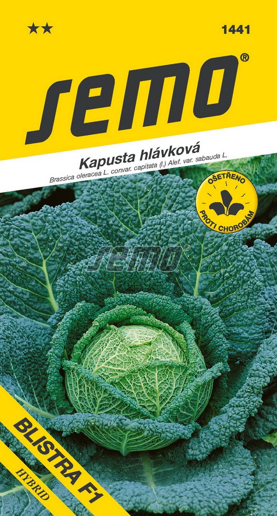 Kapusta hlávková Blistra F1