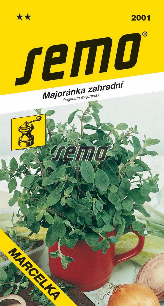 Majoránka zahradní Marcelka