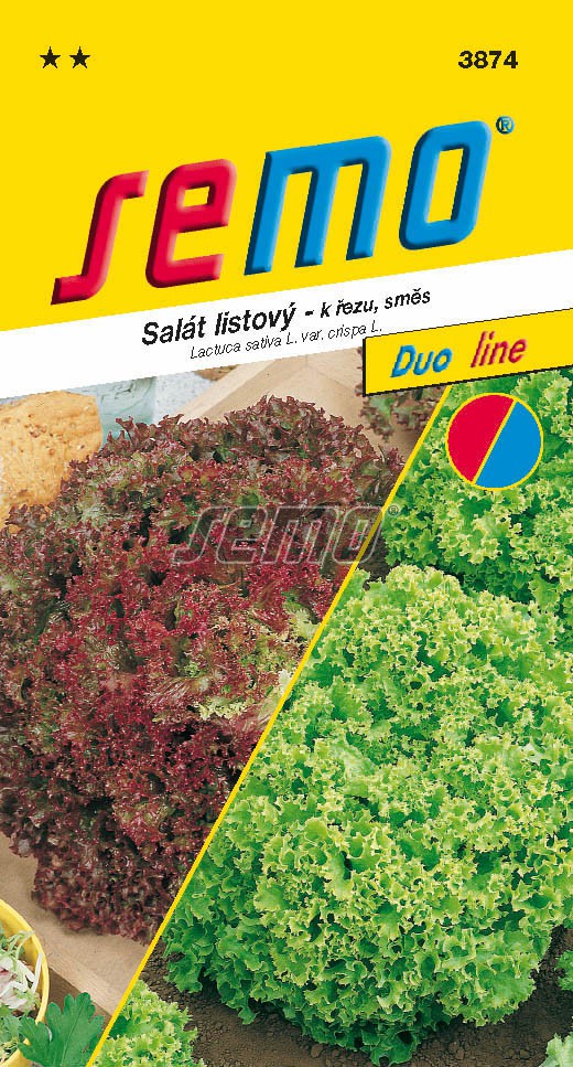 Salát listový směs typu LOLO - poloraný