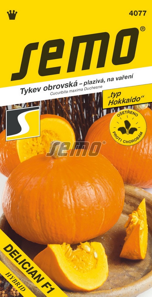 Tykev velkoplodá DELICAN F1 - typ "Hokkaido" plazivá