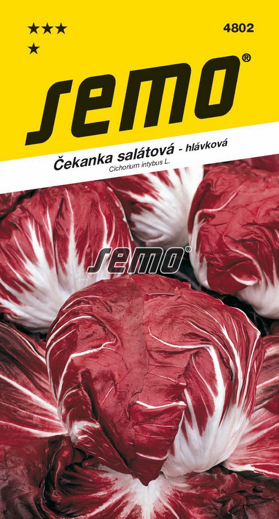 Čekanka salátová PALLA ROSSA 3