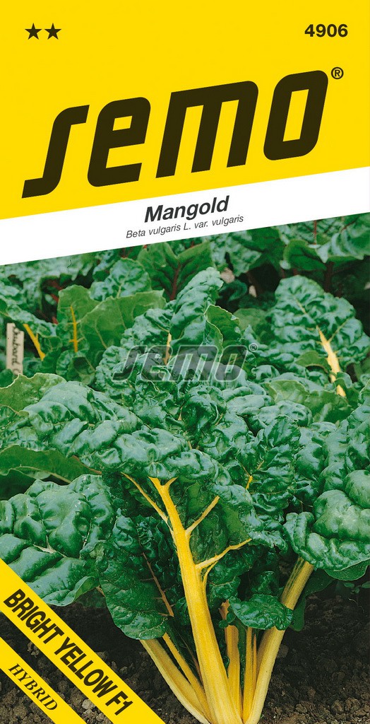 Mangold BRIGHT YELLOW F1