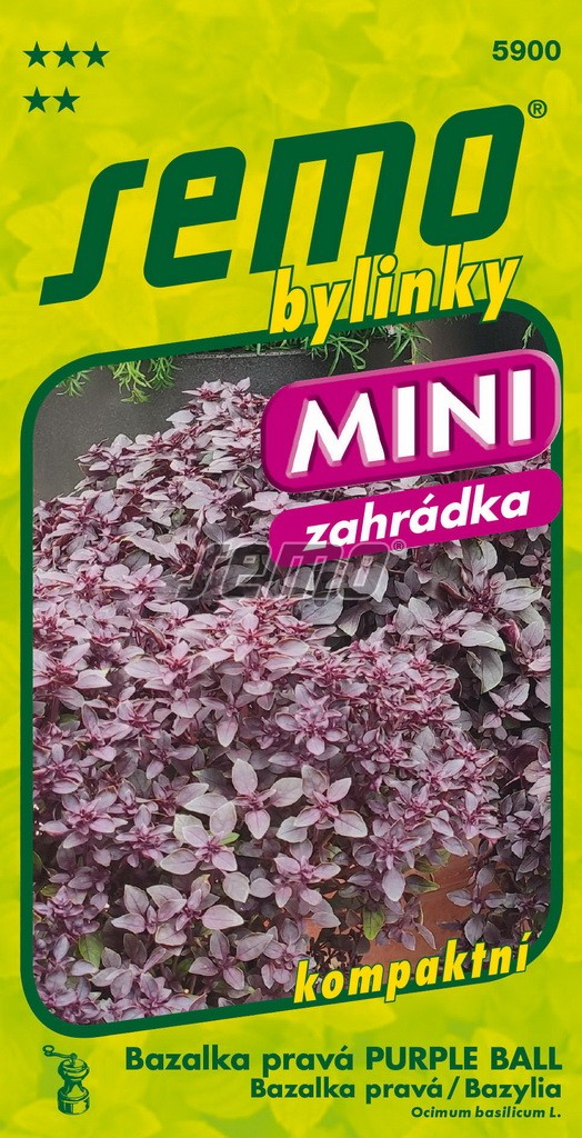 Bazalka pravá PURPLE BALL - červená, drobnolistá