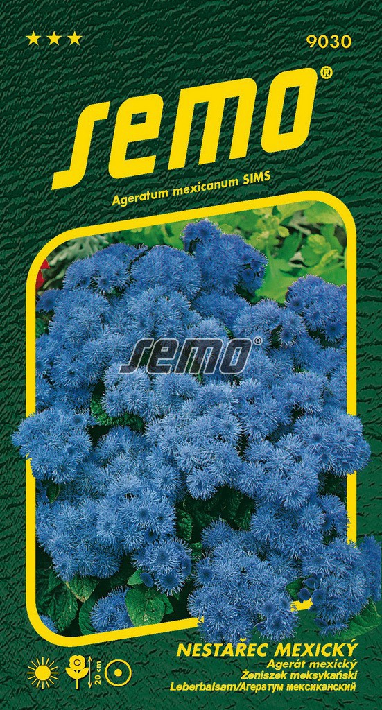 Nestařec mexický TETRA BLUE MINK