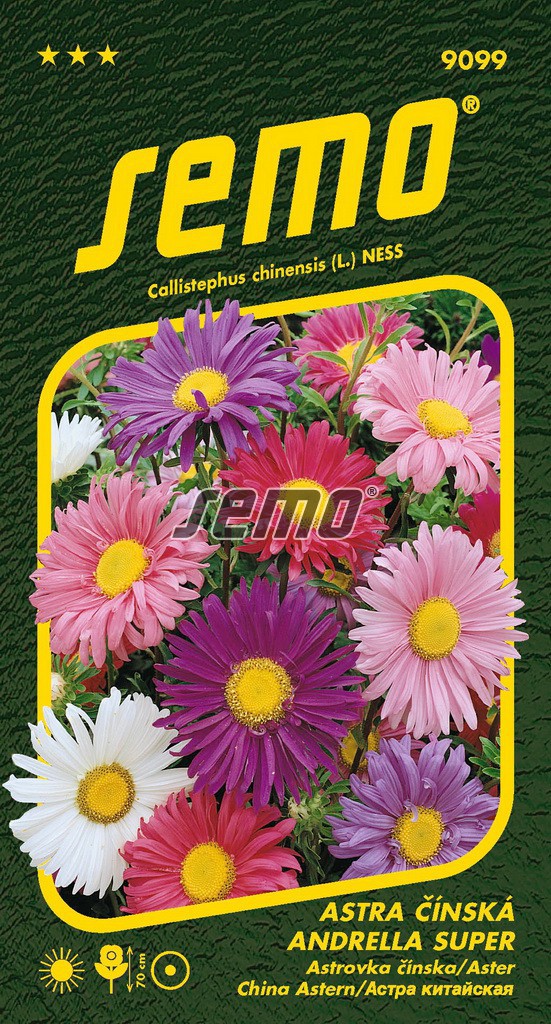 Astra čínská ANDRELLA SUPER MIX - 70 cm