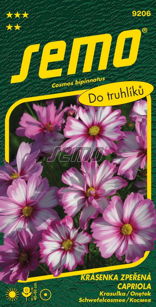 Krásenka zpeřená CAPRIOLA - 40-50 cm