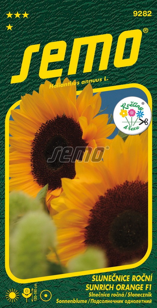 Slunečnice roční SUNRICH ORANGE F1