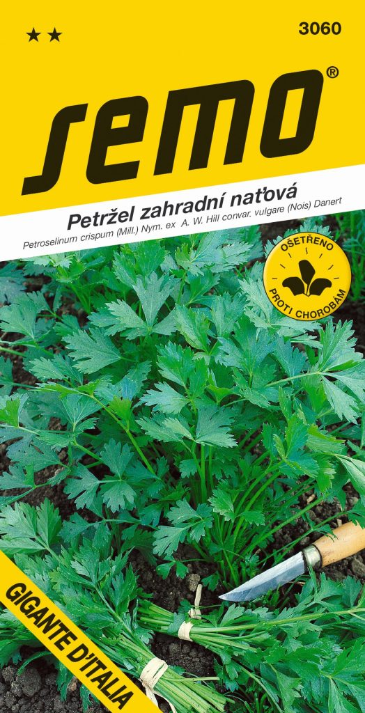 Petržel naťová GIGANTE D´ITALIA - hladká