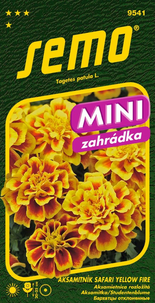 Aksamitník rozkladitý SAFARI YELLOW FIRE - nízký