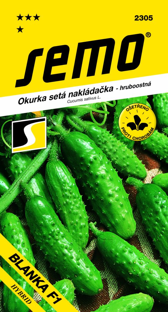 Okurka nakládačka BLANKA F1 – hruboostná