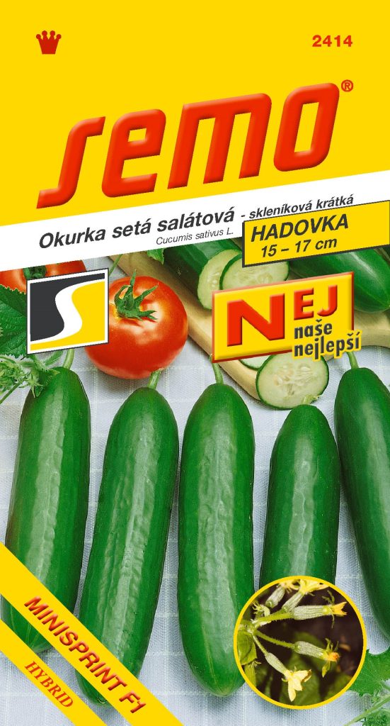 Okurka salátová hadovka Minisprint F1 - skleník, fol.