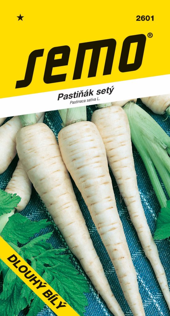 Pastiňák DLOUHÝ BÍLÝ - kuželovitý tvar, pro přímý konzum i konzervace
