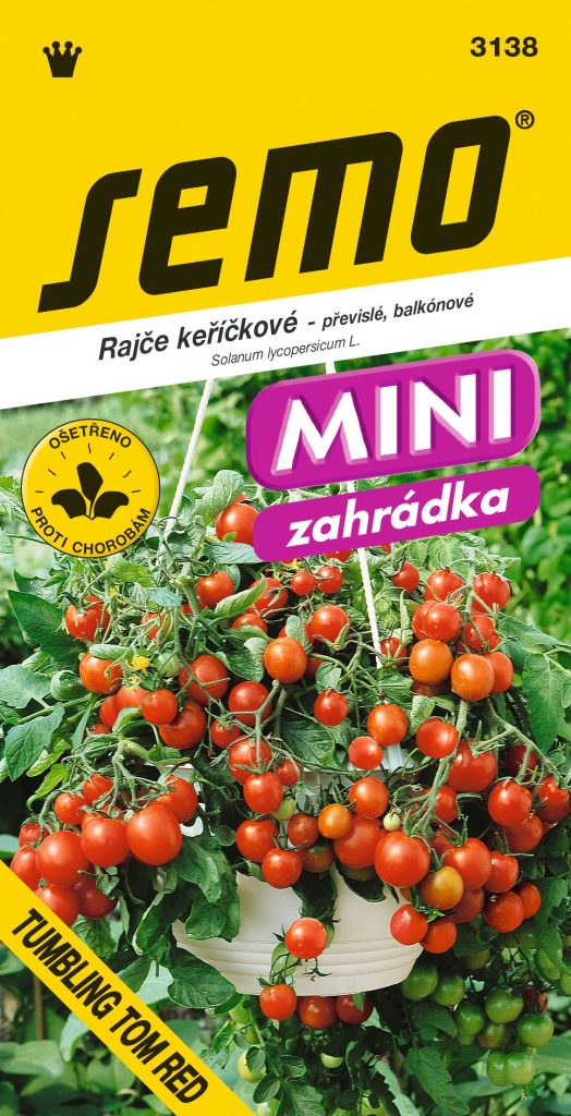 Rajče keříčkové Tumbling Tom Red - převislé, třešňové