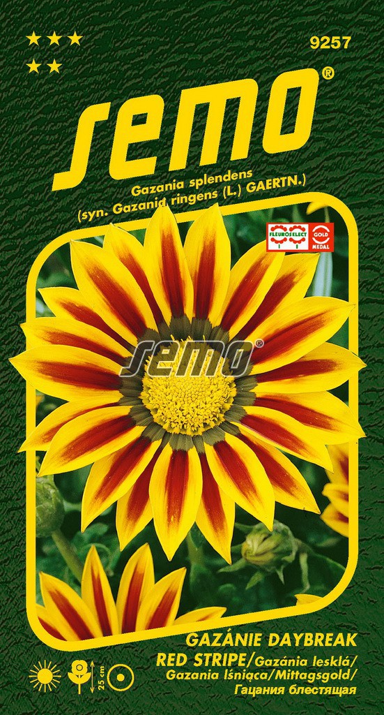 Gazánie zářivá DAYBREAK RED STRIPE F1