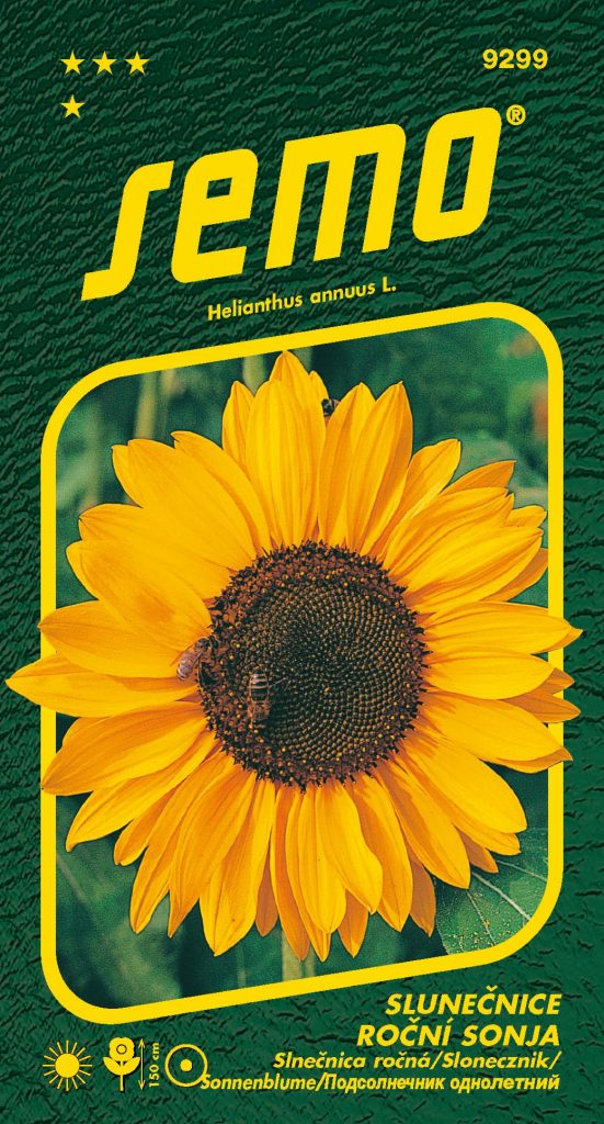 Slunečnice roční SONJA - oranžová, na sušení, 1,5m