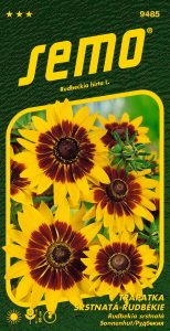 Třapatka srstnatá - rudbekie GLORIA DAISY - 90 cm, k řezu