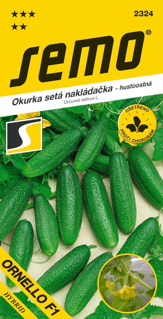 Okurka nakládačka ORNELLO F1 – hustoostná