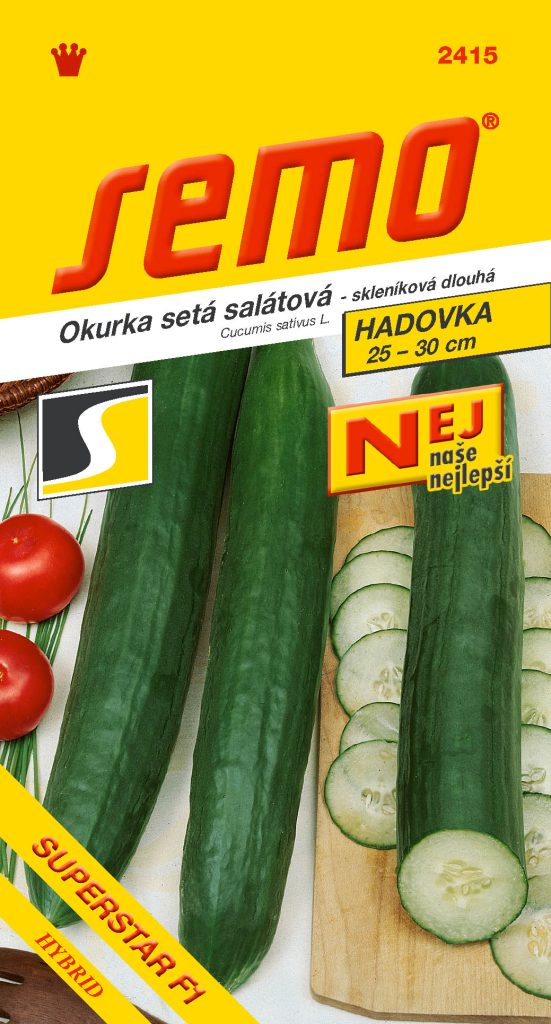 Okurka salátová hadovka VISTA F1-skleník, dlouhá
