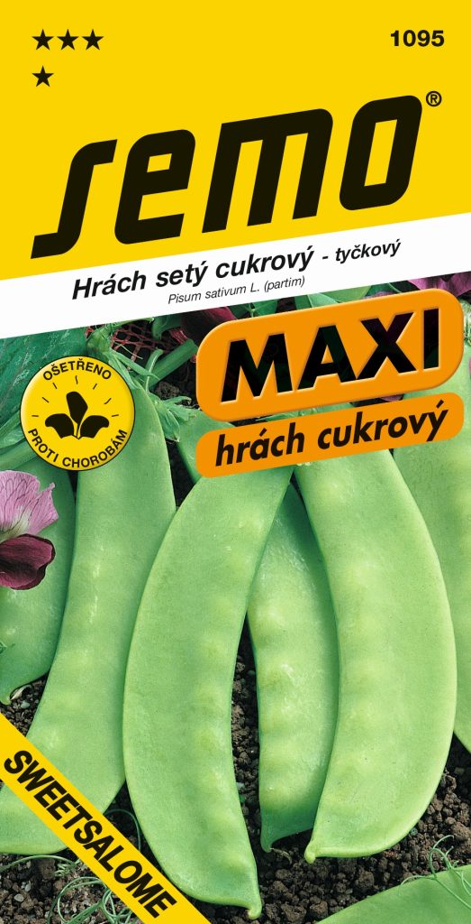 Hrách setý cukrový SWEETSALOME - konzum celých lusků
