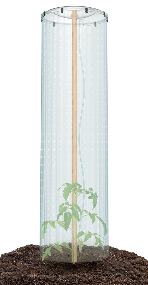 Pěstební set (foliovník) pro TOMATO GROWER CAP 38,5 cm