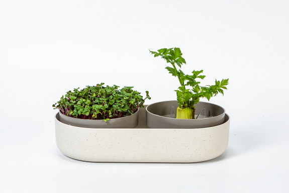 Klíčící miska velká farma - MICROGREENS+REGROW - slonová kost s kávovou sedlinou