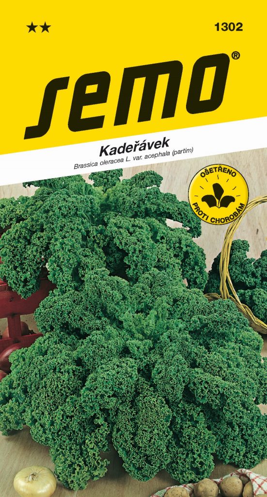 Kadeřávek Halbhoher Grüner Krauser